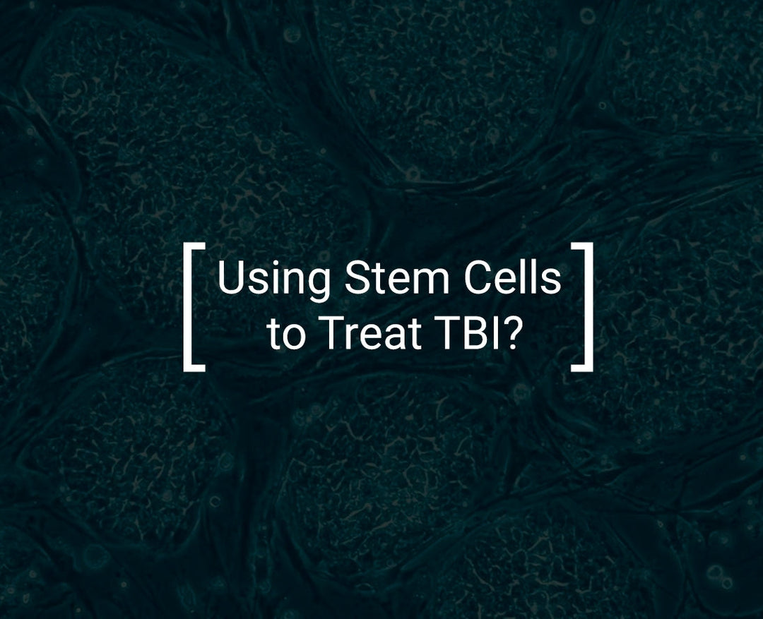 Using Stem Cells to Treat TBI